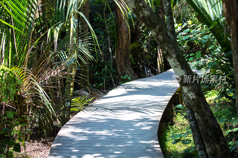 新西兰:Waitakere Ranges